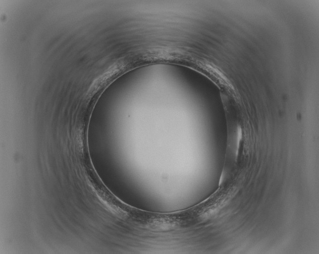 X0000063450489200601271543