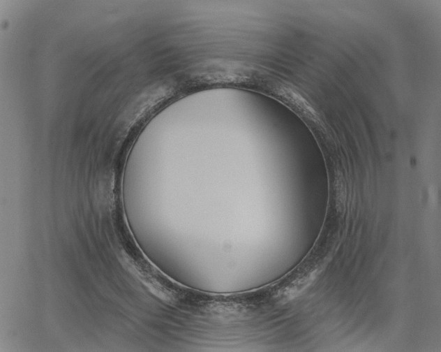 X0000063450490200601271543