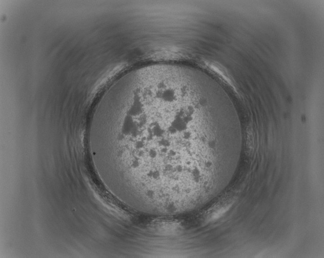 X0000063450491200601271543