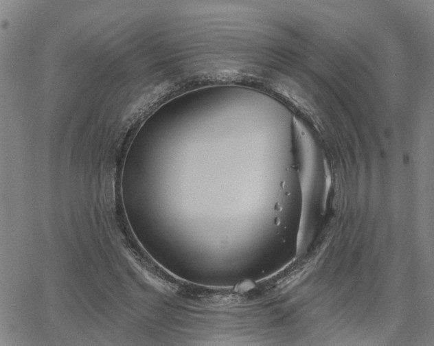 X0000063450493200601271543