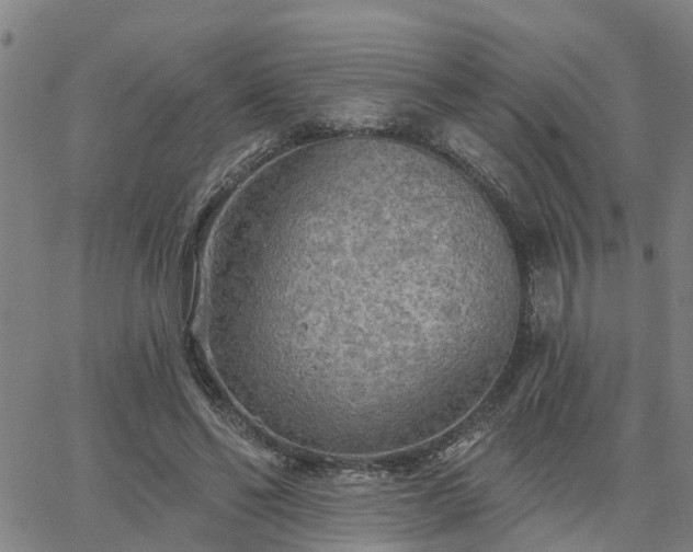 X0000063450494200601271543