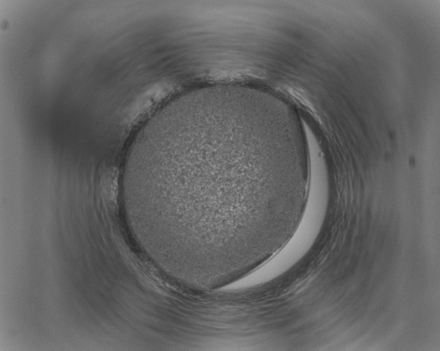 X0000063450495200601271543