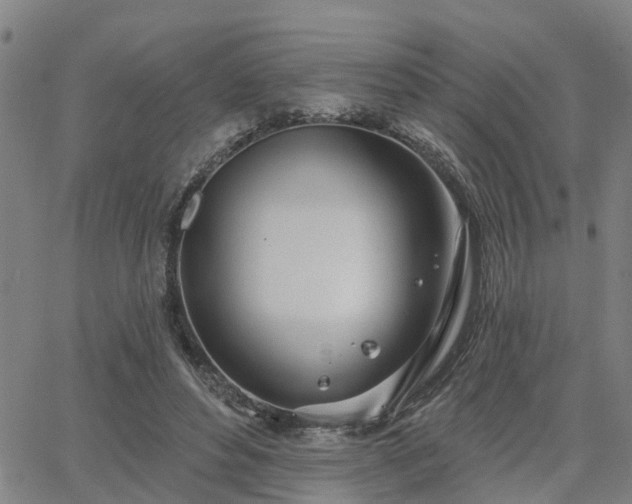 X0000063450496200601271543