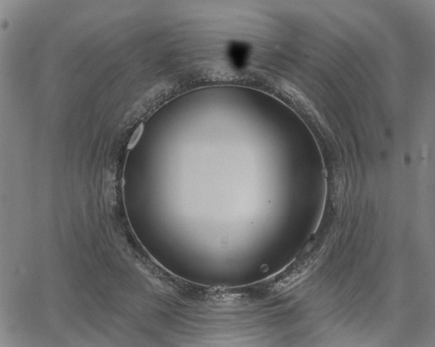 X0000063450497200601271543