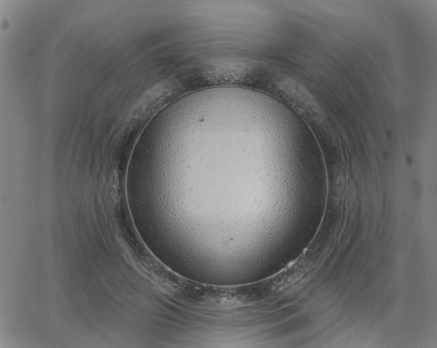 X0000063450498200601271543