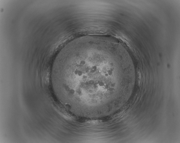 X0000063450499200601271543