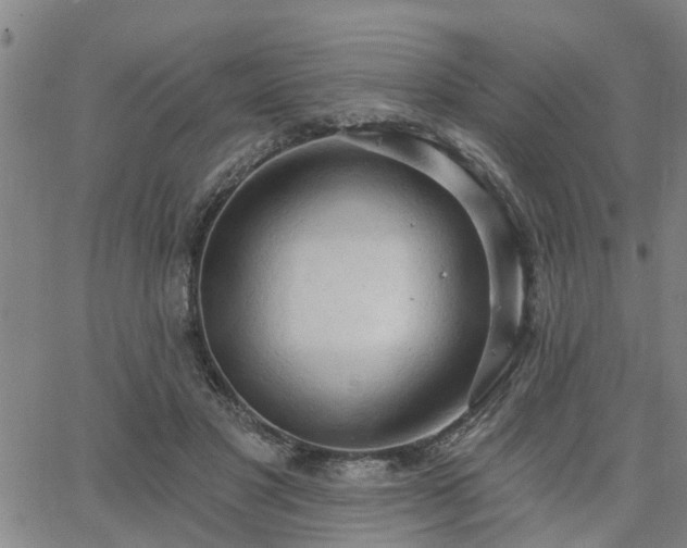 X0000063450501200601271542