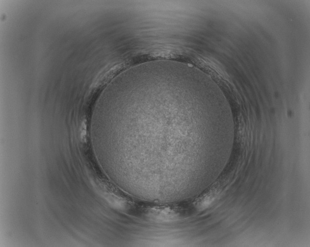 X0000063450502200601271542