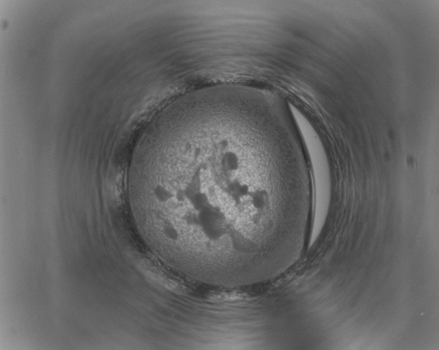 X0000063450503200601271542