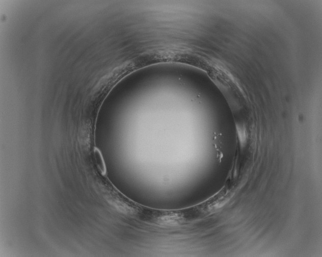 X0000063450505200601271542