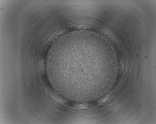 X0000063450506200601271542