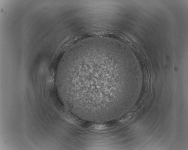 X0000063450507200601271542