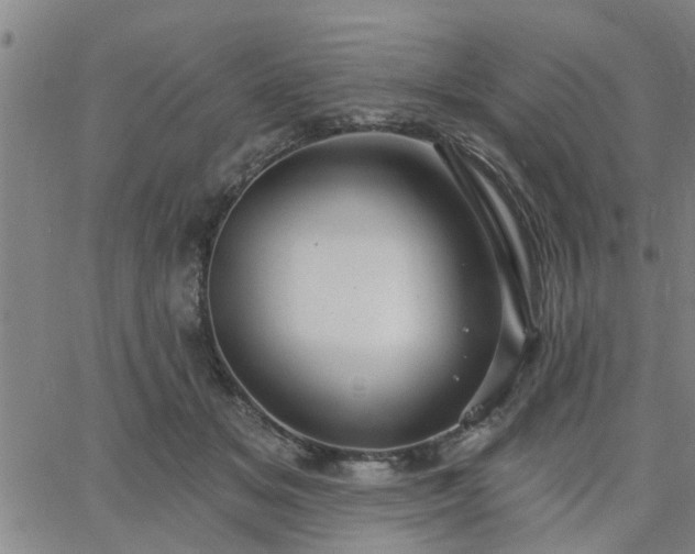 X0000063450509200601271542