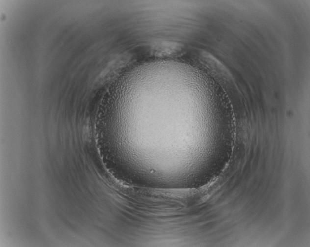 X0000063450510200601271542