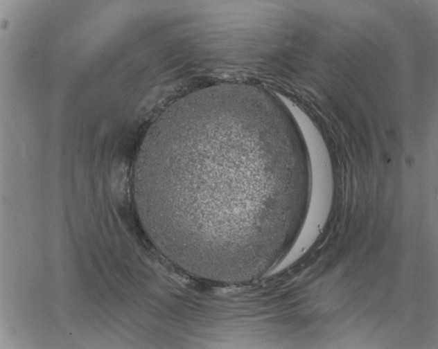 X0000063450511200601271542