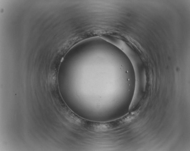 X0000063450513200601271542