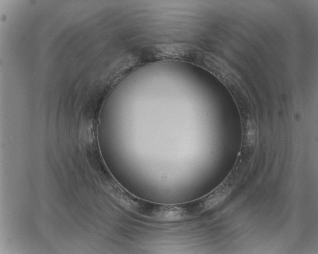 X0000063450514200601271542