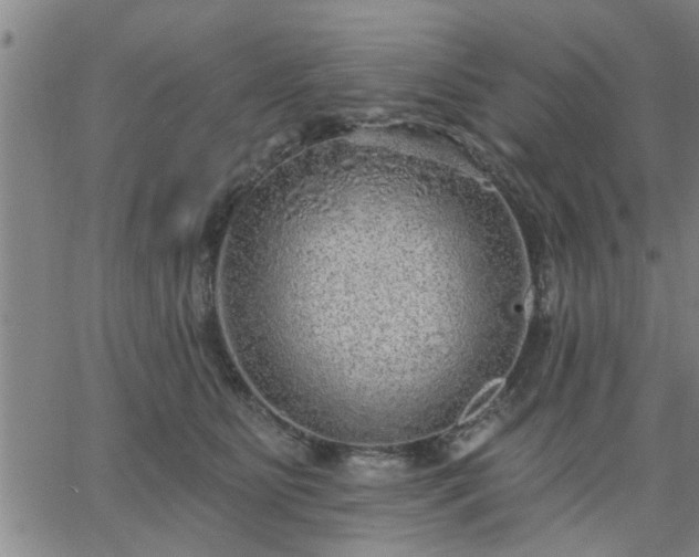 X0000063450515200601271542