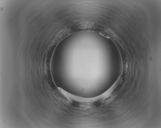 X0000063450516200601271542