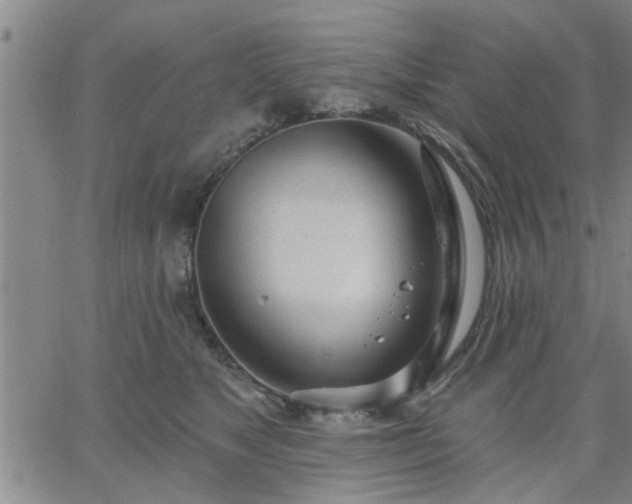 X0000063450517200601271542