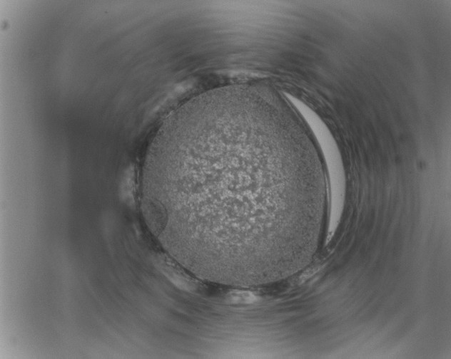 X0000063450519200601271542