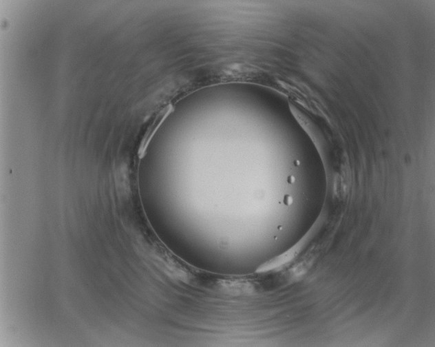 X0000063450520200601271542