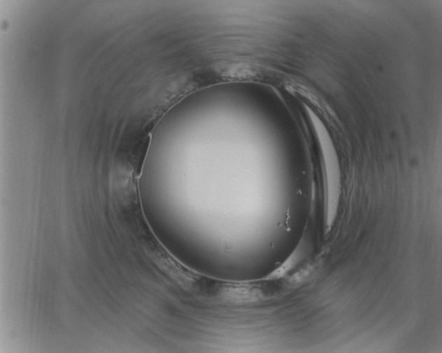 X0000063450521200601271542