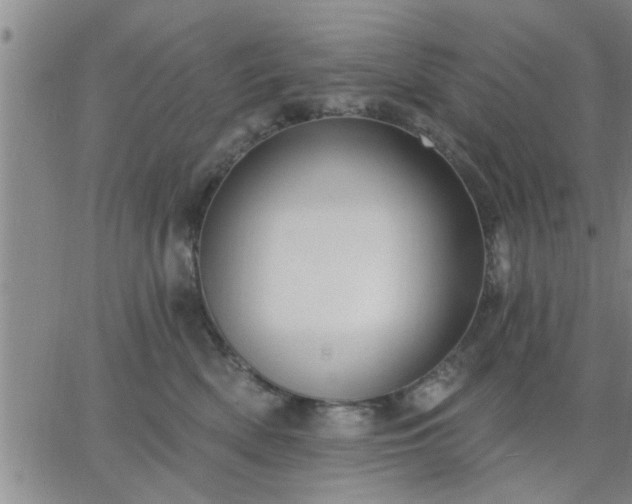 X0000063450522200601271542