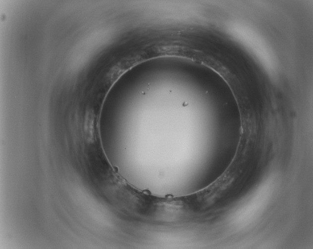 X0000063450525200601271542