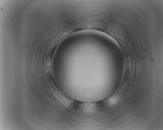 X0000063450526200601271542