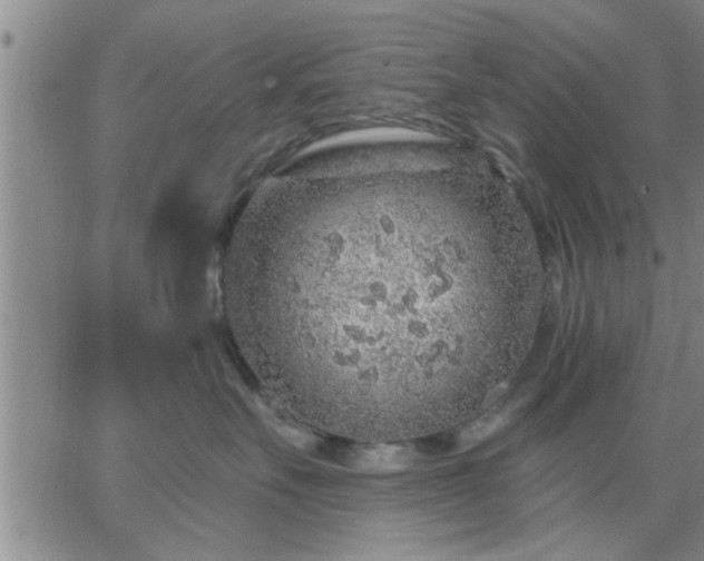 X0000063450527200601271542