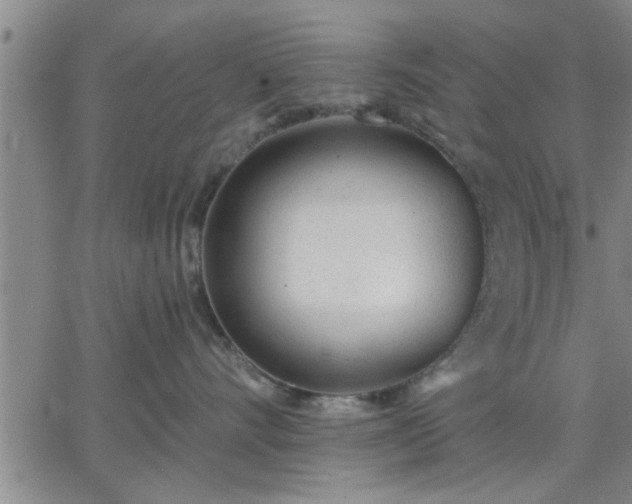 X0000063450528200601271542