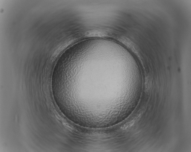 X0000063450529200601271541