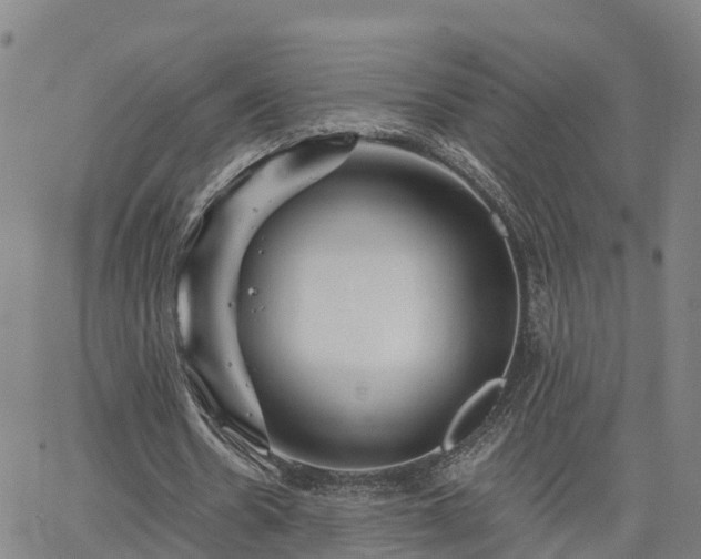 X0000063450530200601271541