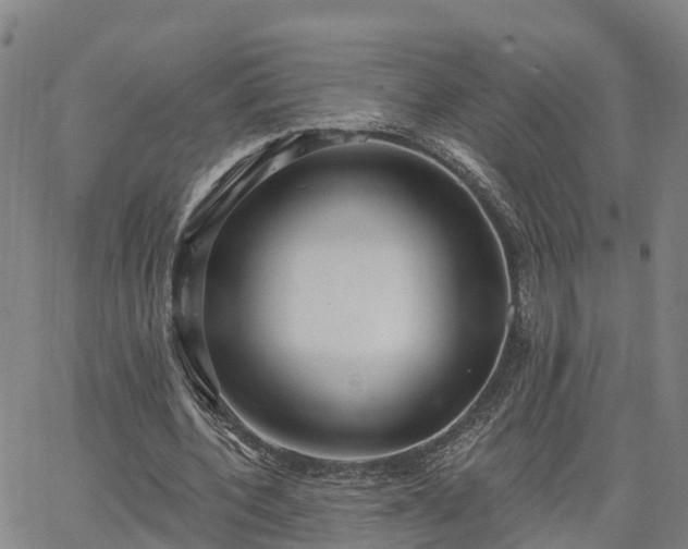 X0000063450532200601271541