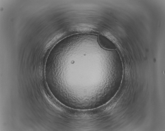 X0000063450533200601271541