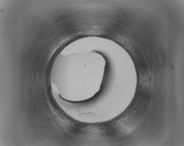 X0000063450534200601271541