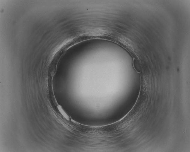 X0000063450535200601271541