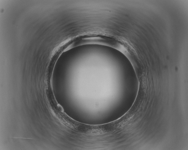 X0000063450536200601271541