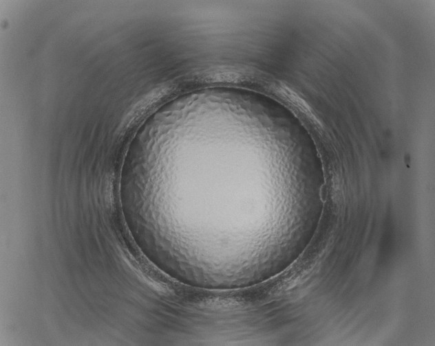 X0000063450537200601271541