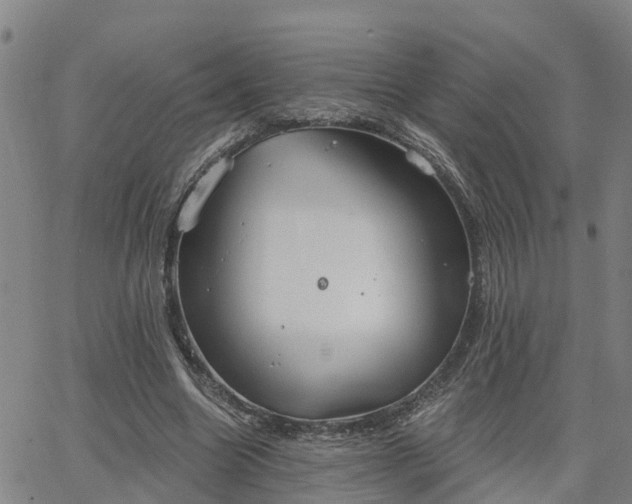 X0000063450538200601271541