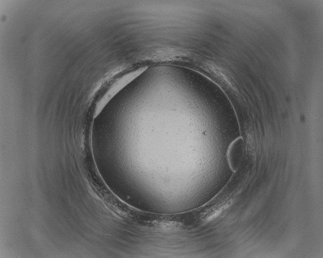 X0000063450539200601271541