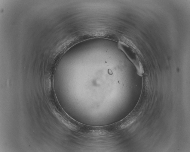 X0000063450541200601271541