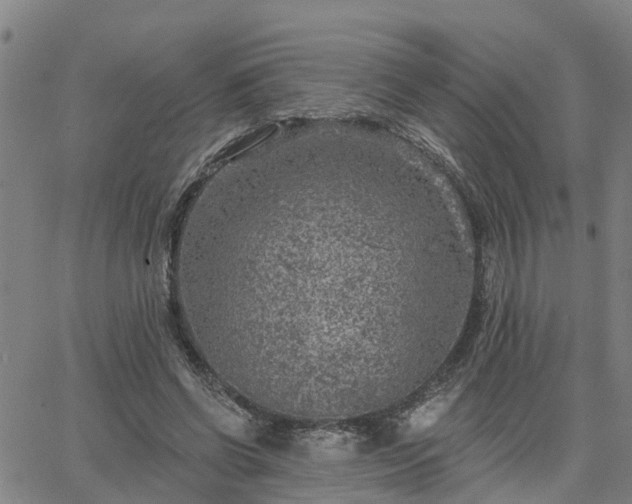 X0000063450542200601271541