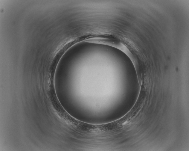 X0000063450544200601271542