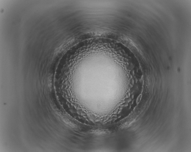 X0000063450545200601271542