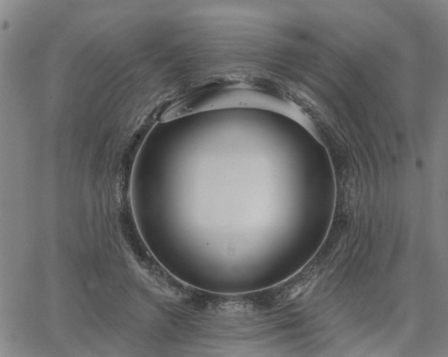 X0000063450546200601271542