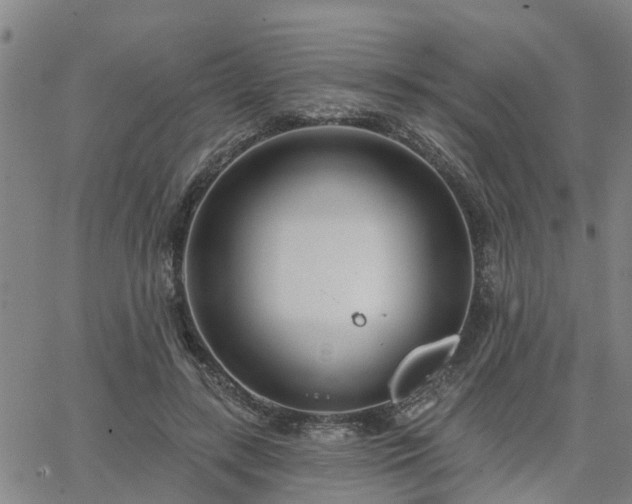 X0000063450547200601271542