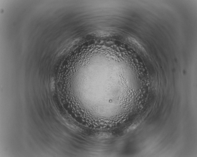 X0000063450549200601271542