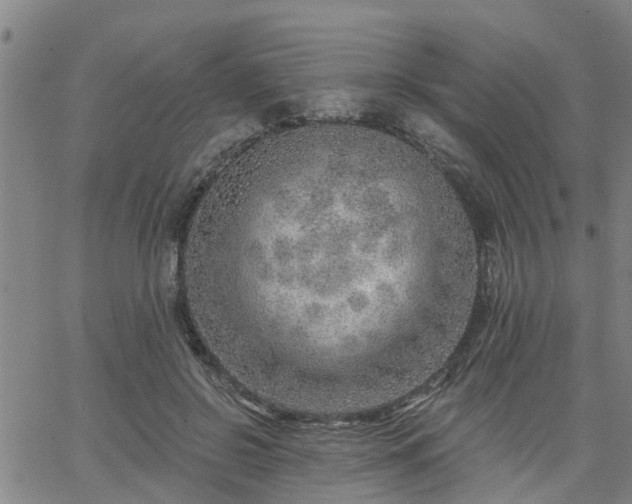 X0000063450550200601271542